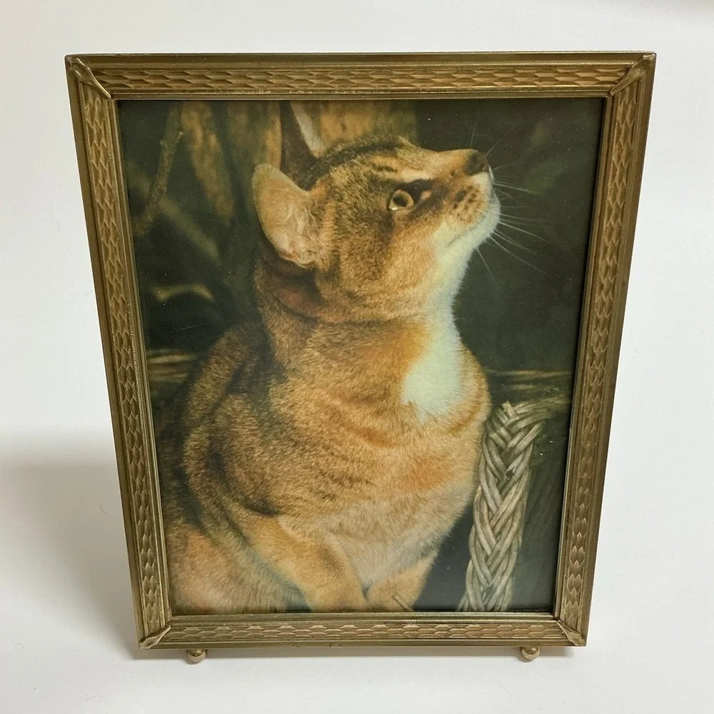 Vintage Gold Metal Picture Frame 8x10 Cat Print Standing Easel Ball Feet 60s MCM